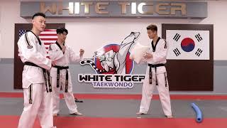 Episode 3 | Roundhouse Kick | JH Kim's WHITE TIGER MARTIAL ARTS