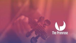 Primrose International Viola Competition: Final Round (December 18)