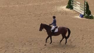 Video of KENDAL ridden by CHARLOTTE CLARK from ShowNet!