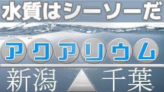 【超衝撃】都道府県によって、アクアリウムの難易度が全然違っていた！水質に隠された謎【ふぶきテトラ】】