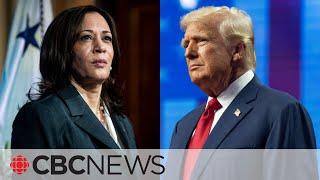 Trump-Harris debate: Could key issues make or break a tight race?