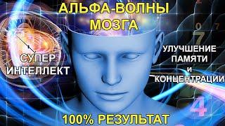 АЛЬФА ВОЛНЫ для МОЗГА: мгновенно улучшают Память и Интеллект. Медитация для головного мозга