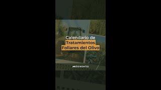 Calendario de TRATAMIENTOS FOLIARES del Olivo