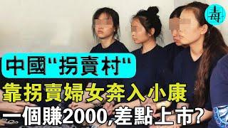 隱藏在農村的“婦女批發市場”！全村200人各個人販子，一個婦女賺2000，還差點做到上市？