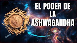 Reduce la Ansiedad y eleva la Testosterona con Ashwagandha