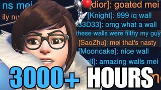 What 3000+ Hours of MEI Looks Like - Overwatch 2