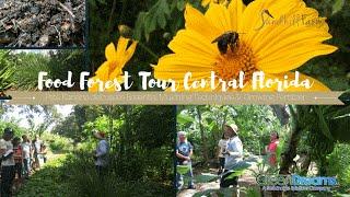 Food Forest Tour Clip: Mulch for Success, "Chop & Drop" Technique