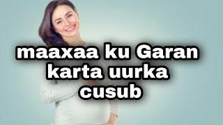 calamadaha lagu garto uurka bilowga ah