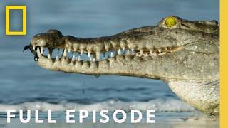 Oceans (Full Episode) | Hostile Planet