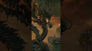 #animals dragons video #topanimals