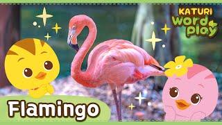 * Flamingo * | Katuri Word Play | Learn Animals | Animals for kids to learn