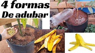 4 Formas de Adubar com Cascas de Banana