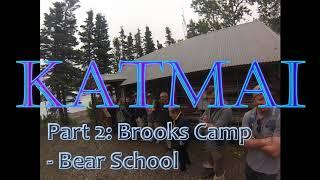 Brooks Falls Katmai National Park: Brooks Camp - Bear School