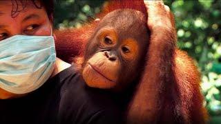 Back to the Wild! | Frontier Borneo Season 1 - Episode 4 | Full Episode