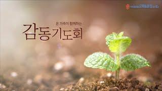 2021.3.1(월) 열왕기하 19장 19절 - 김민호 목사