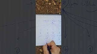 حالات تجوز للزوجة طلب الطلاق