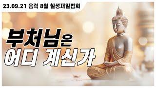 부처님은 어디 계신가 (23.9.21. 음력 8월 칠성재일법회)