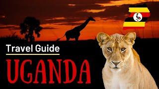 Where to Go in Uganda | Travel Guide (5 best places to visit in 2024)