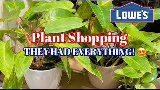 Plant Shopping @lowes  || FULLY STOCKED || THEY HAD EVERYTHING