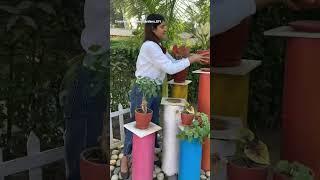 How to make a Garden Zen Corner? #shorts #diyideas #diygarden #gardentips #gardening #gardenideas