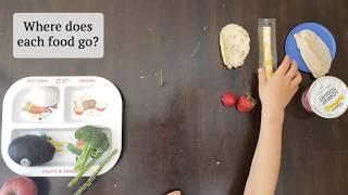 Food Group Activities for Kids