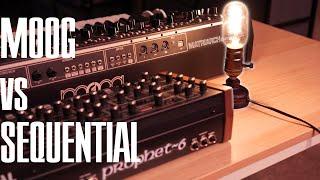 Moog Matriarch vs Sequential Prophet 6 [paraphonic or polyphonic]