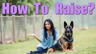 The Journey of Raising a Belgian Malinois: From Puppy to Protector | Malinois | Dog Training