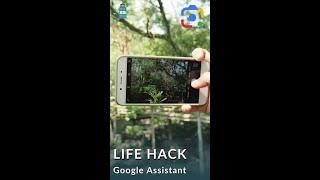Life Hack: Google Lens