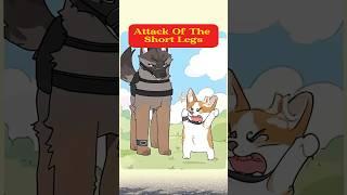 Attack Of The Short Legs. #cat  #animals #animation