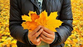 travelling to see beautiful colours of autumn, fall colours, autumn colours