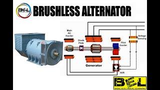 Brushless alternator working at Basic Electrical Learning