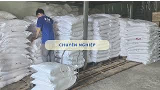 Bột Giặt Công Nghiệp Zily Bao 25Kg - Giá Rẻ - Tiết Kiệm