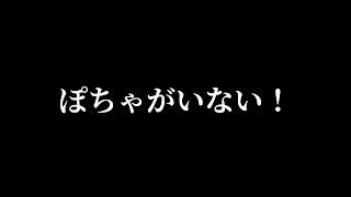 家の中、どこを探してもぽちゃがいない！