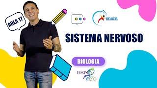 Enem 2023 - Biologia - Aula 17 - Sistema Nervoso