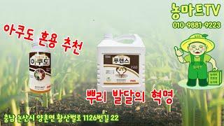 뿌리튼튼 루핸스 #농마트 #korea #big #farming #farmer #친환경 #피프티 #후기 #농사 #논산시 #fertilizer #귀농 #꽃게아미노 #루핸스