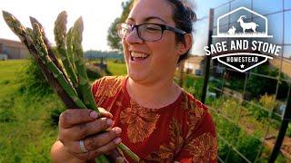 Homestead Garden & Greenhouse Tour, Zone 7B | Week 2