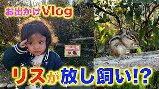 初めてのリスに大興奮‼︎【お出かけVlog】