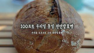 100% 우리밀 통밀 천연발효빵 만들기 (손반죽,가정용오븐, No 롯지) / 100% Wholemeal sourdough bake(No Lodge)