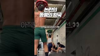 160만뷰 논란의 크로스핏=동물의왕국(?) 근황