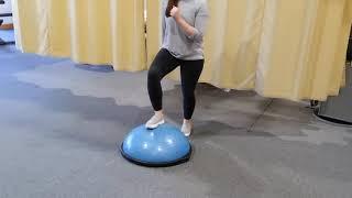 Bosu Ball Balance Series