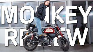 혼다 몽키125 입문용으로 괜찮을까? | HONDA MONKEY125 22년식 리뷰