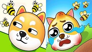 Save the Dog VS Save the Doge - All Level Gameplay Android iOS