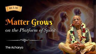 Matter Grows on the Platform of Spirit | Srila Prabhupada | BG 2.30