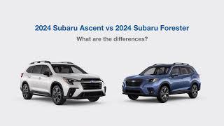 2024 Subaru Ascent vs 2024 Subaru Forester  | Subaru of Englewood