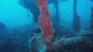 Buceo en Cabo Palos (Islas Hormigas) (diving)