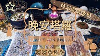 晚安塔羅⭐️ 星座每日愛情運勢咪咪️塔羅 Love Tarot Daily⭐️next 24 hr