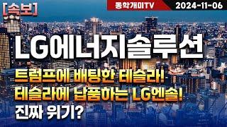 LG에너지솔루션-트럼프에 배팅한 테슬라! 테슬라에 납품하는 LG엔솔! 진짜 위기?