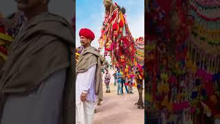 Discover Rajasthan: A Journey Through Culture, Colors, and Royalty!  #viral #shorts