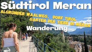 Südtirol Meran I Wandern auf den Algrunder Waalweg über Dorf Tirol, Garten der Tiere in Meran