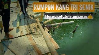 STRIKE BABON FULL KERAPU!!! Mancing rumpon demak harus siap seser,,,Kerapu babonya makan!!!